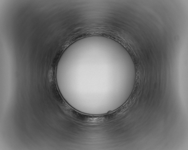 X0000113570323200909181004
