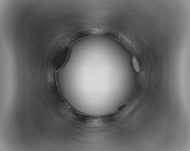 X0000113570325200909181004