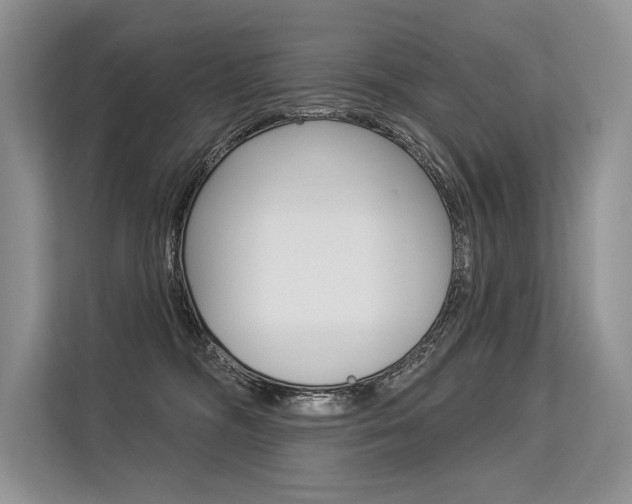 X0000113570326200909181004