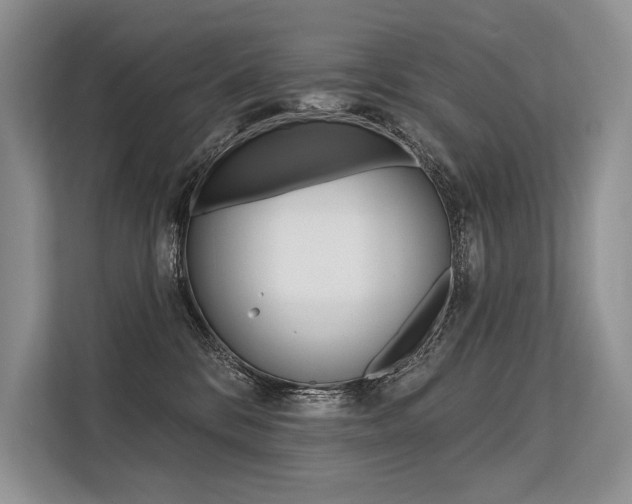 X0000113570328200909181004