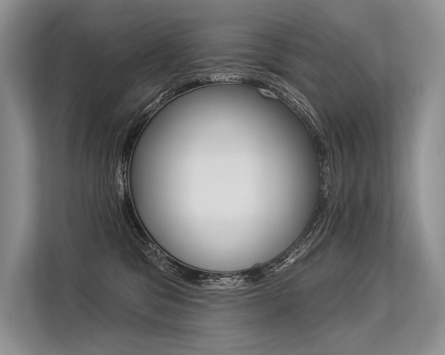 X0000113570329200909181004