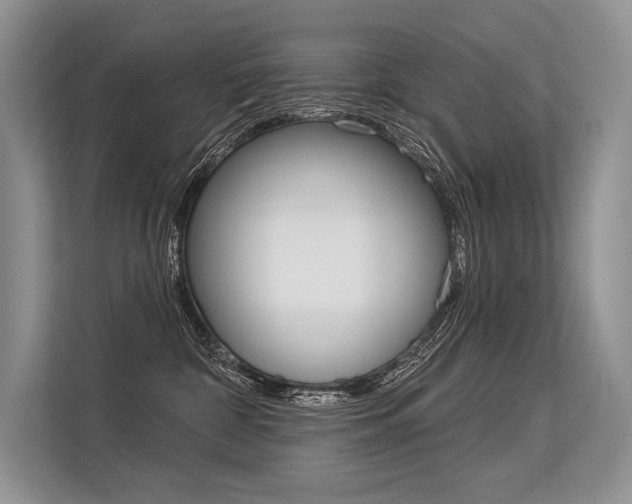 X0000113570332200909181004
