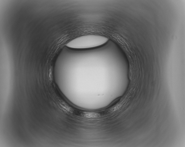 X0000113570336200909181004