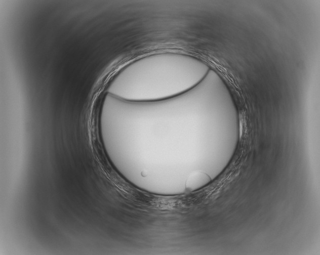 X0000113570339200909181004