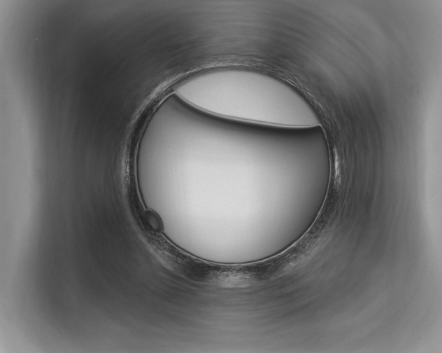 X0000113570348200909181004