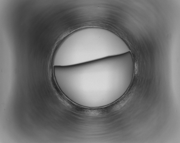 X0000113570349200909181004