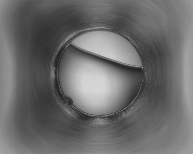 X0000113570350200909181004