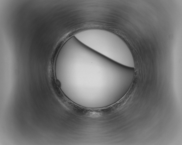 X0000113570352200909181004