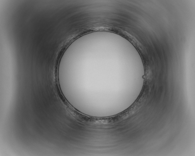 X0000113570353200909181004