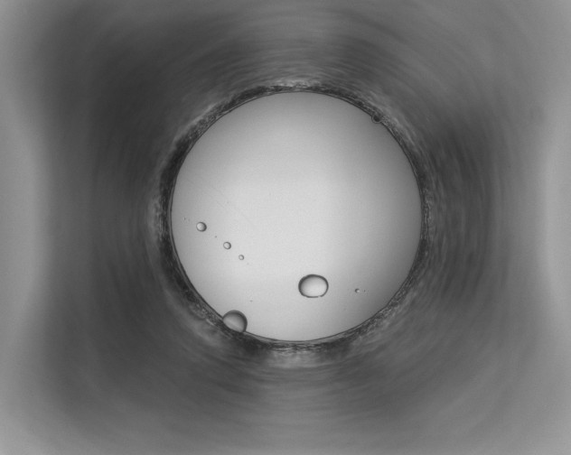 X0000113570354200909181004