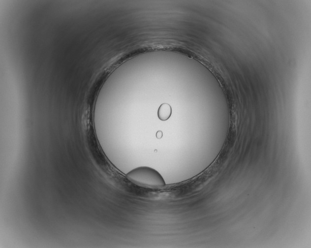 X0000113570356200909181004