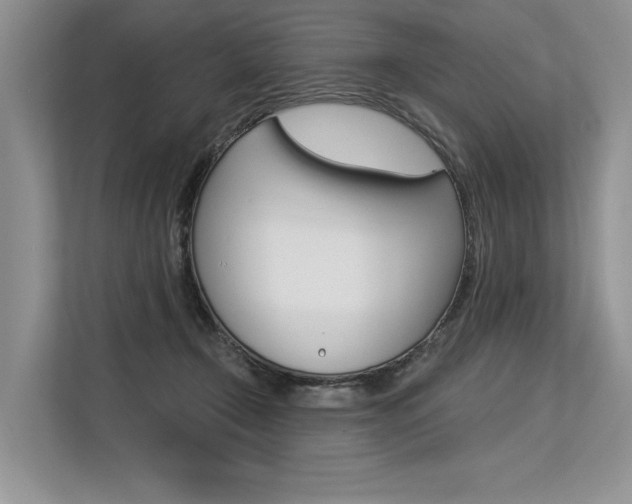 X0000113570366200909181004