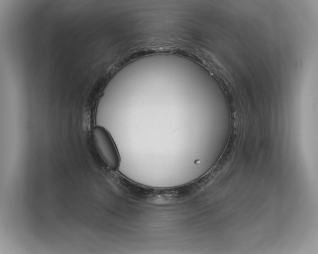 X0000113570368200909181004