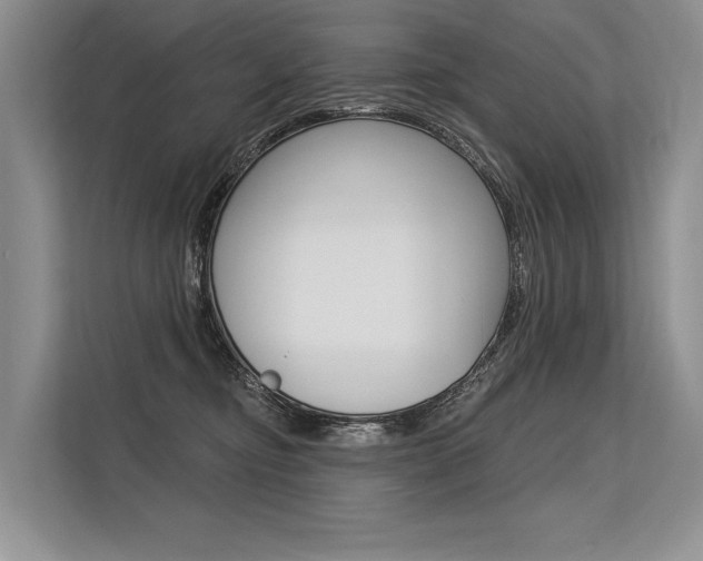 X0000113570374200909181004