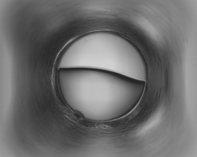 X0000113570387200909181004