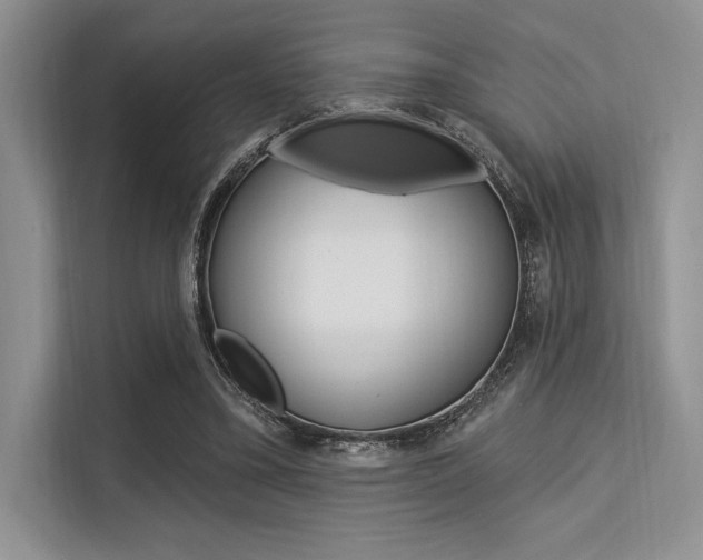 X0000113570395200909181003