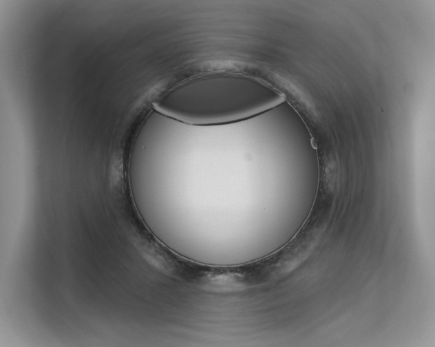 X0000113570407200909181003