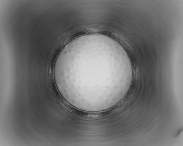 X0000113570418200909181003
