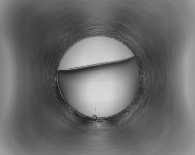 X0000113570420200909181003