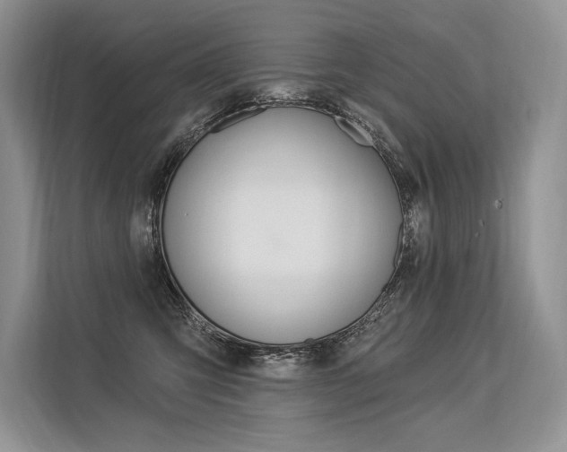 X0000113570423200909181003