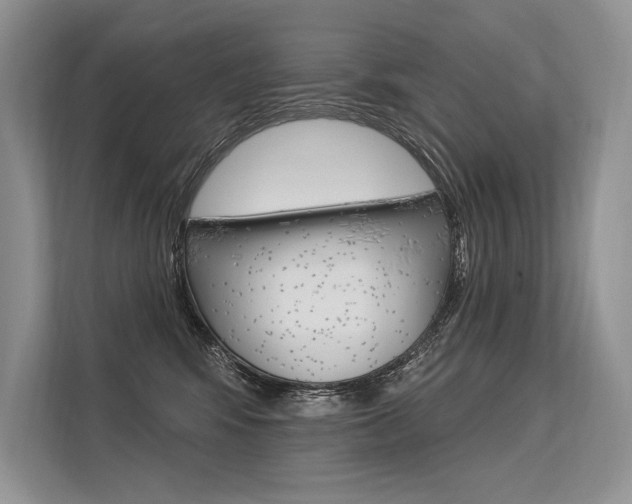 X0000113570424200909181003