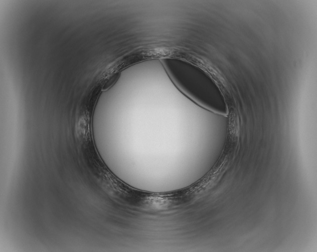 X0000113570425200909181003