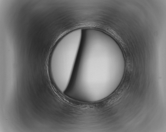 X0000113570434200909181002