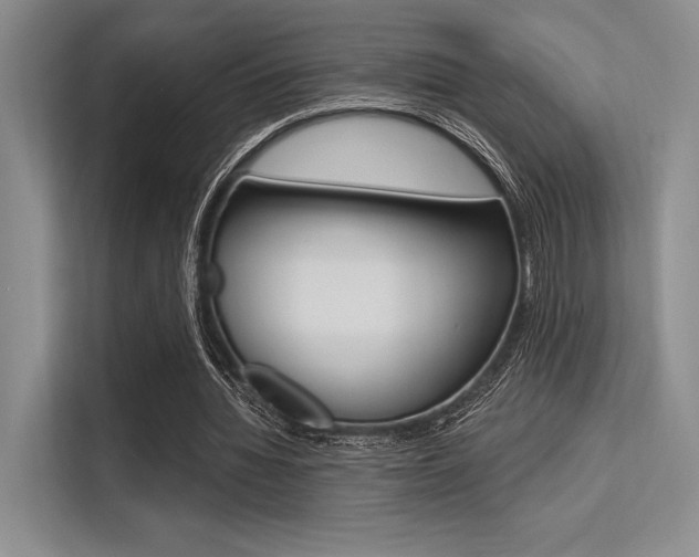 X0000113570436200909181002