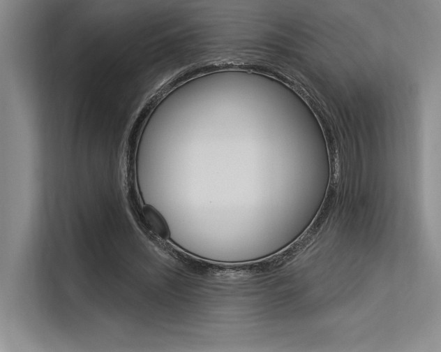 X0000113570444200909181002