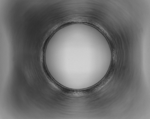 X0000113570445200909181002