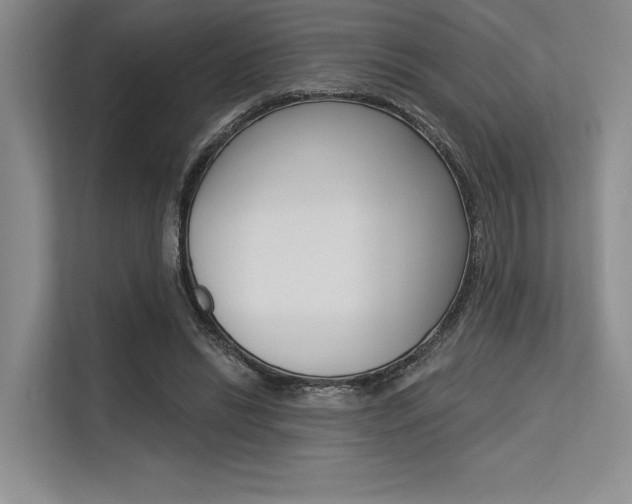 X0000113570446200909181003