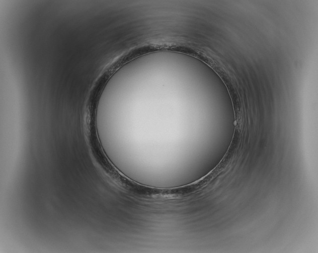 X0000113570448200909181003