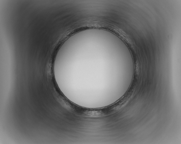 X0000113570449200909181003