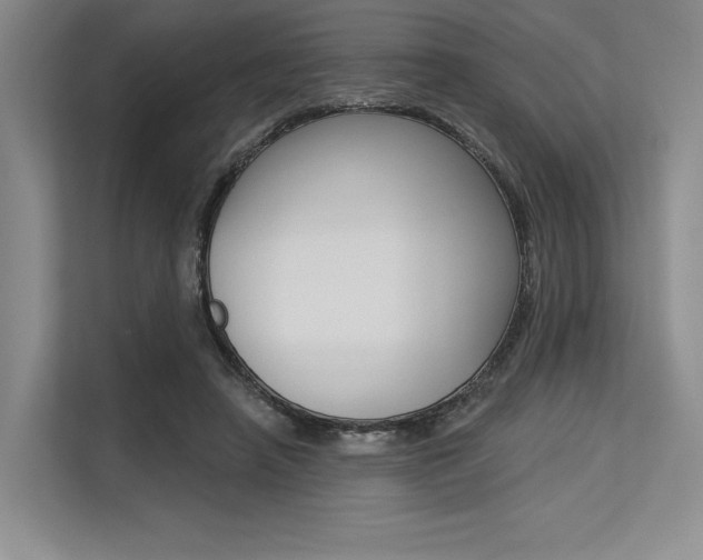 X0000113570450200909181003