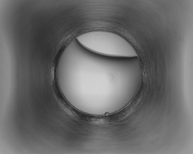 X0000113570454200909181003