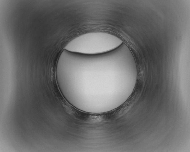 X0000113570469200909181003