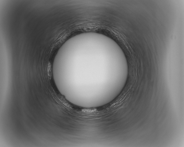 X0000113570480200909181003