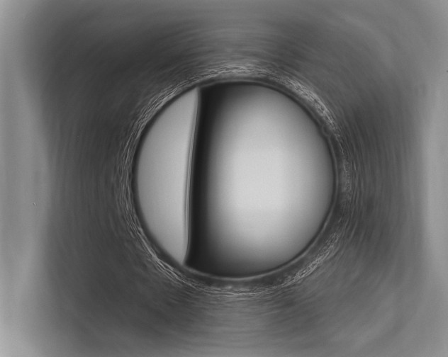 X0000113570481200909181002