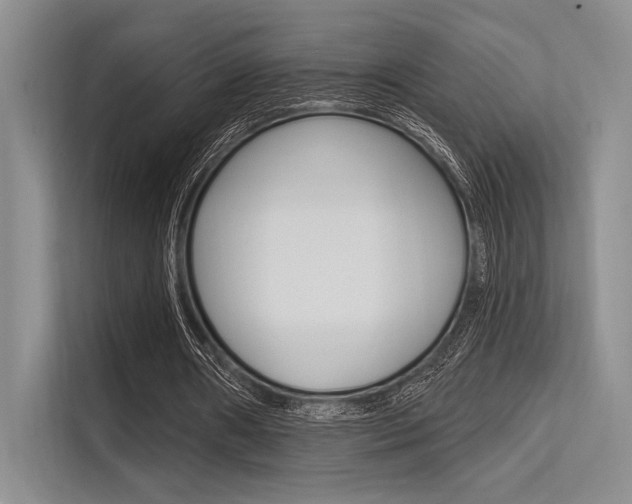X0000113570482200909181002