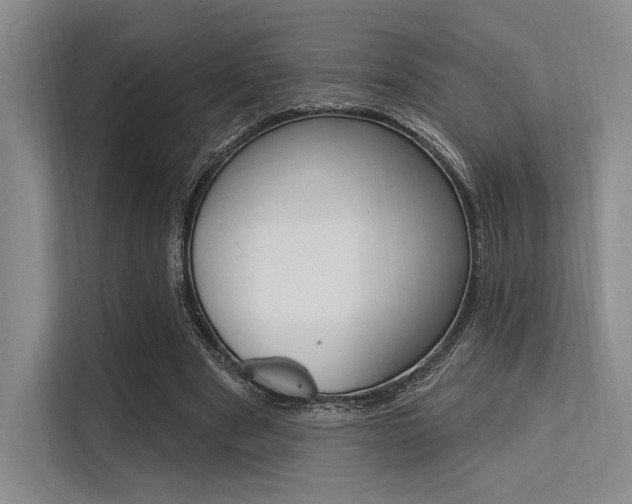 X0000113570489200909181002