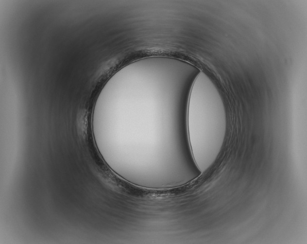 X0000113570495200909181002