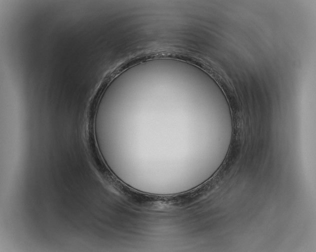 X0000113570496200909181002