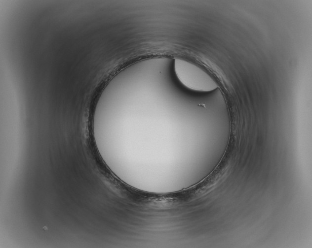 X0000113570497200909181002