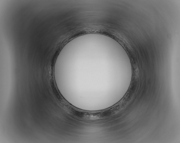 X0000113570498200909181002