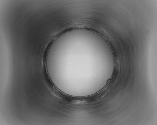 X0000113570500200909181002