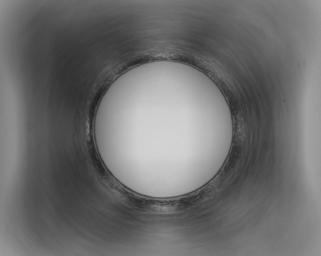 X0000113570502200909181002