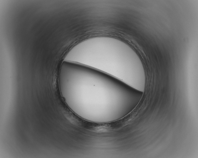 X0000113570505200909181002
