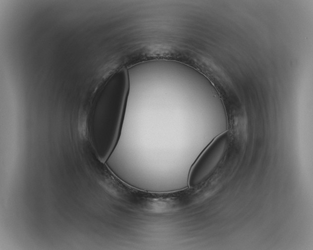 X0000113570508200909181002