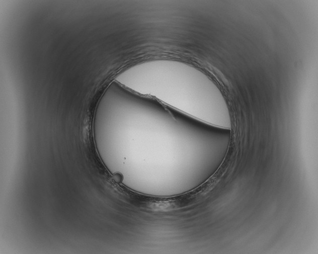 X0000113570513200909181002