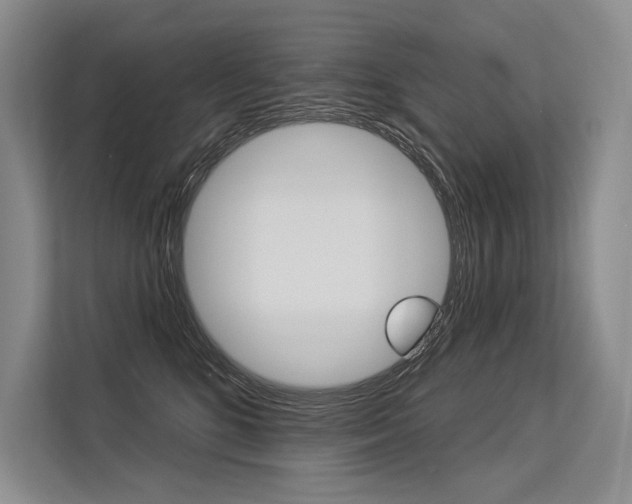 X0000113570520200909181002